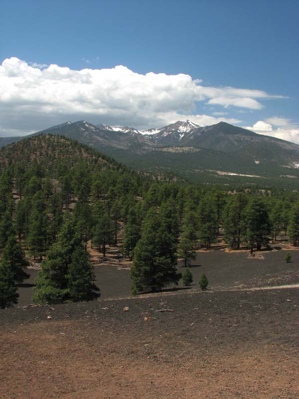 Sunset Crater - San Francisco Mountains